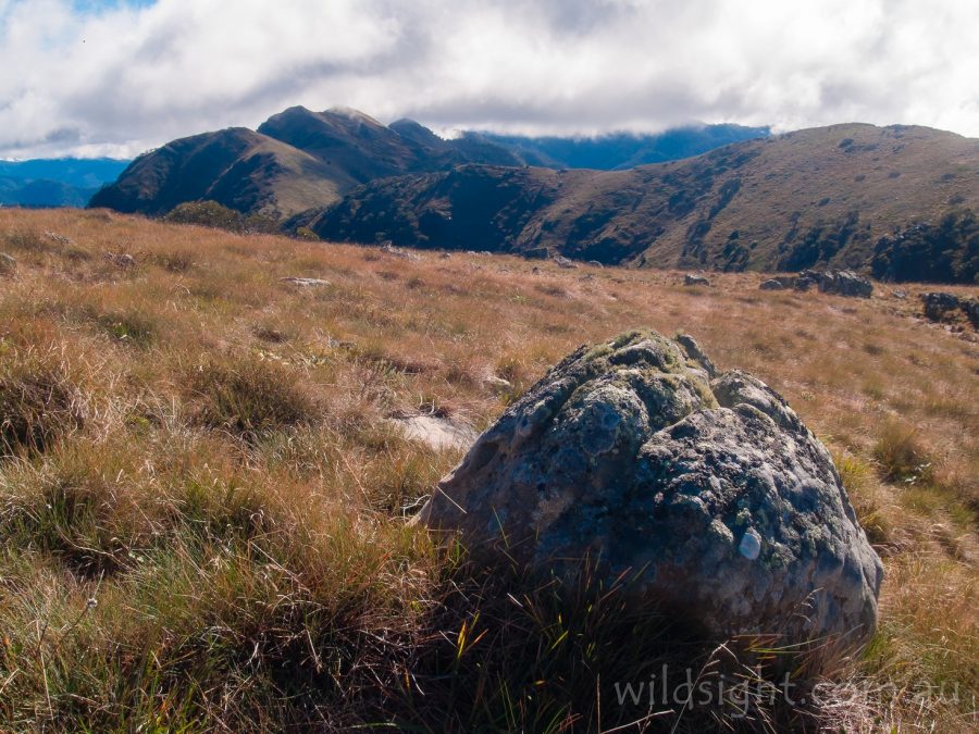 View to the Crosscut Saw from Mount Howitt - Wild Sight