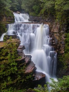 D'Alton Falls