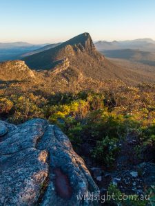 View north from Mount Abrupt at sunrise