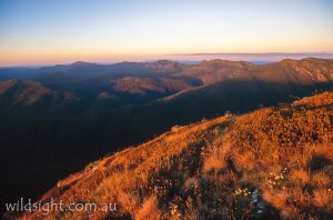 Mount Magdala sunset view, Alpine National Park Victoria