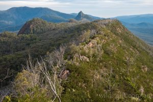 Cathedral Range