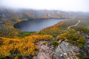 Track to Marions Lookout above Crater Lake, Cradle Mountain-Lake St Clair Bational Park, Tasmania